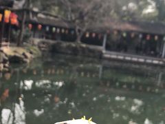 -惠山古镇·寄畅园