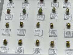 -烟台市博物馆