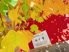 -红螺寺