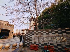 -同济大学(嘉定校区)