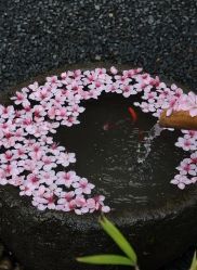 -Cindy Jewelry·钻戒·彩色宝石