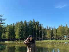 -森波拉火山温泉