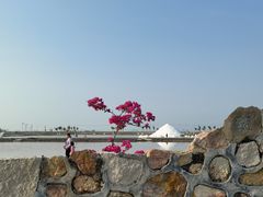 -莺歌海盐场