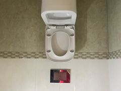 -金山农民画村-枫泾波兰倒置屋