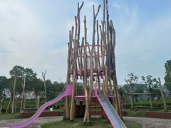 -春花秋色城市公园