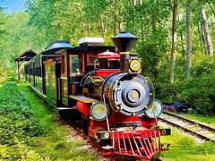 -合肥滨湖国家森林公园