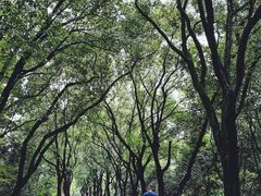 -东湖落雁景区