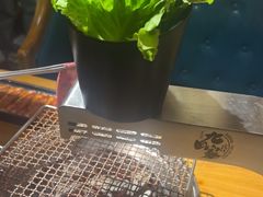 -九田家黑牛烤肉料理(华侨城店)