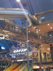 -卡通尼·Safari非洲探索乐园·生日会(金桥国际商业广场店)