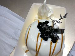 -狐狸和向日葵(北京路店)