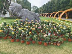 -上海长兴岛郊野公园