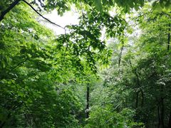 -敬亭山风景名胜区