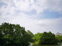 -新江湾城公园