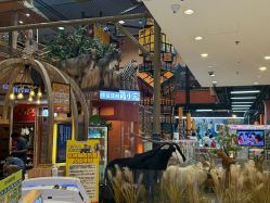 -卡通尼·Safari非洲探索乐园·生日会(金桥国际商业广场店)