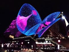 -悉尼歌剧院
