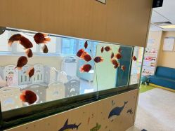 -杭州贝瑞斯美华妇儿医院·早孕·产检·儿科