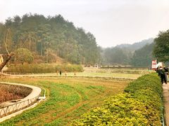 -韶山毛泽东同志故居