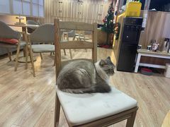 -白兔子密室(长寿路店)