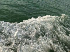 -鼓浪屿钢琴博物馆