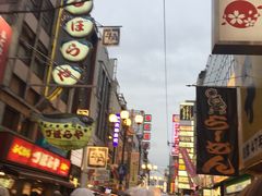 -蟹道乐(道顿堀本店)