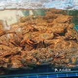 来三亚的宝子们如果想住民宿不如看看亚龙湾 博后村这边