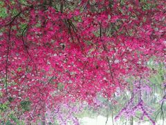 android_upload_pic-新江湾城公园