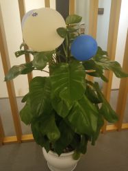 -Yestar艺星医疗美容医院
