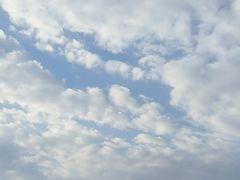 -浪琴湾度假村