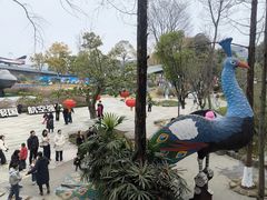 -成飞公园