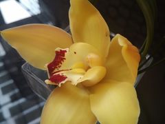 -好日子皇冠假日酒店·君怡咖啡厅(特美思大厦店)