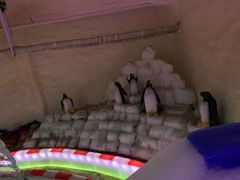-白鹿仓冰雪海洋世界