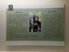 -婺源博物馆