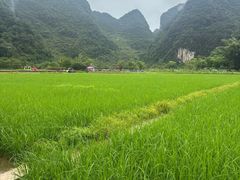 -靖西鹅泉风景区