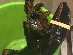 -苏大嘴海鲜牧场(奥林匹克店)