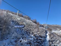 -密苑云顶乐园(云顶滑雪场)