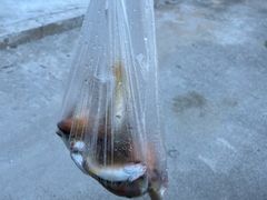 -铭轩中餐厅·海南菜·粤菜(亚龙湾瑞吉店)