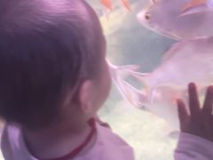 -多彩贵州城极地海洋世界