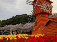 -苏州上方山国家森林公园
