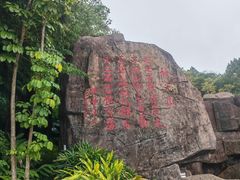 -神光山国家森林公园