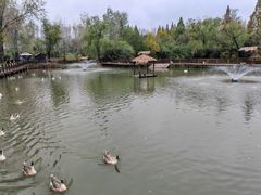 -溱湖国家湿地公园