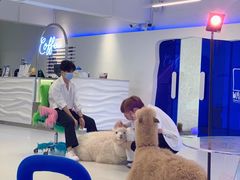 -Blue Concept Cafe&Farm·關於藍