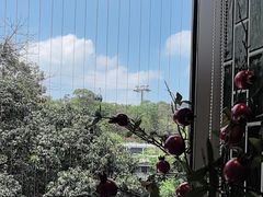 -点都德(广州白云山景区南门店)