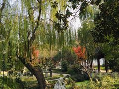 -镇江市南山风景名胜区竹林景区