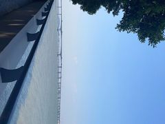 -大湾区中央湿地公园
