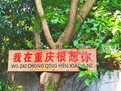 -道教老君洞