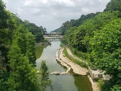 -广州市帽峰山景区