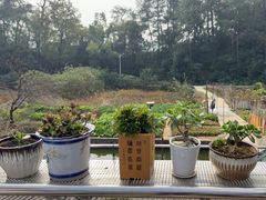 -来韶饭店