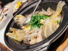 清蒸野生大黄鱼-食廬(浦东嘉里城店)
