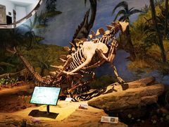 -自贡恐龙博物馆