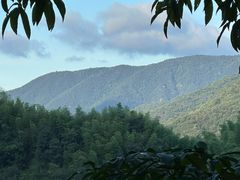 -东天目山风景区